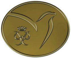 bronze badge