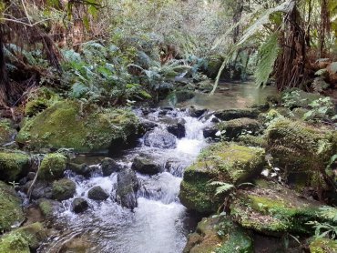 Boundary Stream