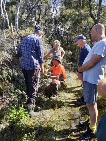 Train The Trainers Day with DOC and the HB Wilding Pine Control Trust